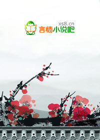 追夫记