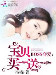 BOSS夺爱:宝贝买一送一